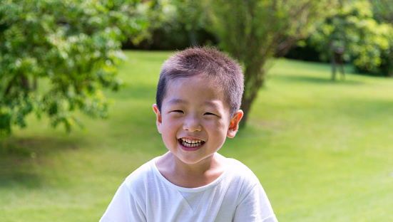 Portrait of cute little asian boy.