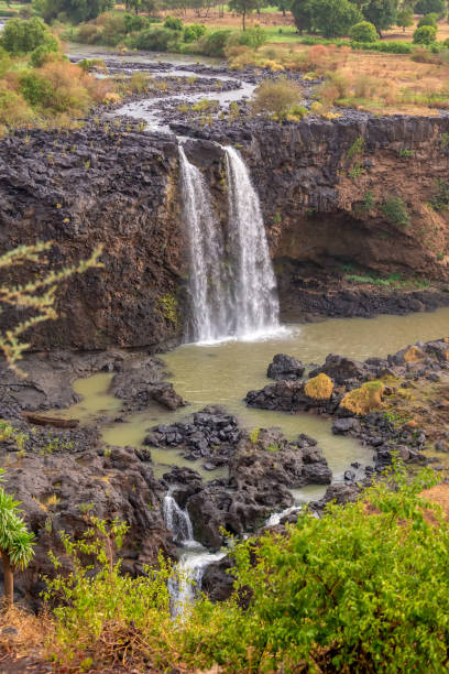 istock Blue Nile Falls in Bahir Dar, Ethiopia 1156876386