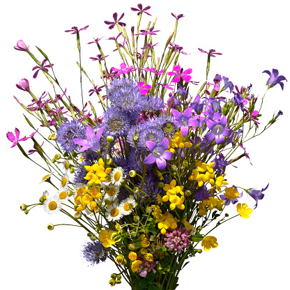 Bouquet of wild flowers , background