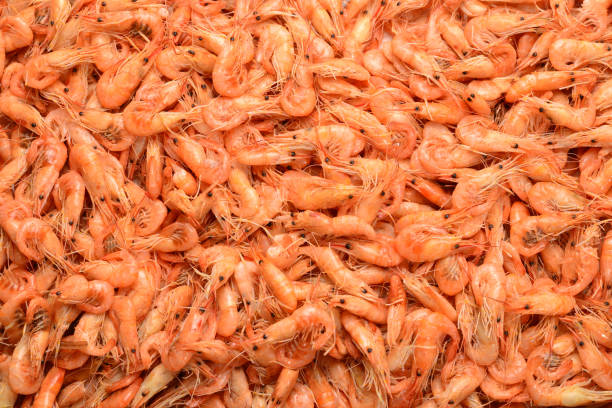 istock Tasty fresh shrimps as background. 1156884656