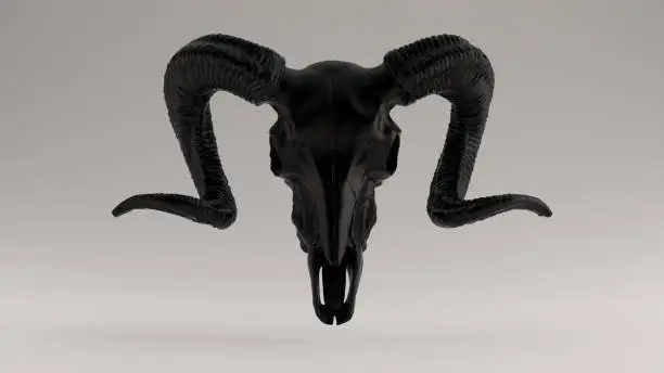 Black Ram Skull Front View 3d illustration 3d render