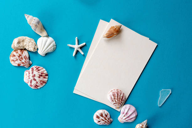 istock Summer theme.Blank white sheet and various marine elements for decoration. Letter of Summer 1156887147