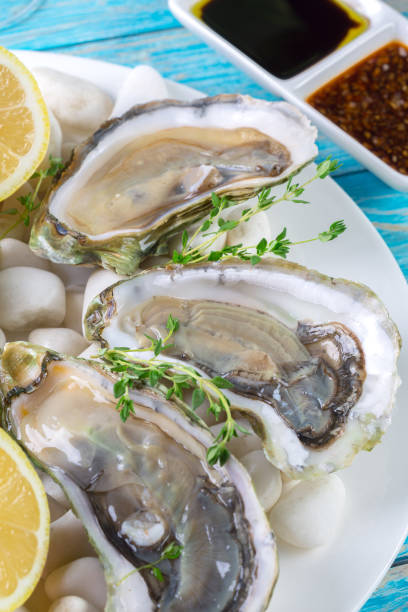 istock raw oysters with lemon and ice 1156889828