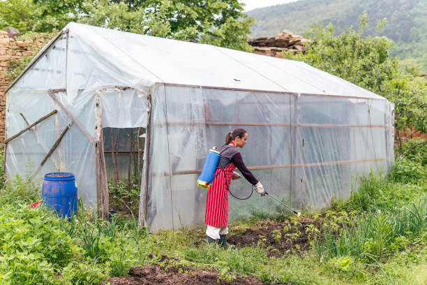 Фармайодом