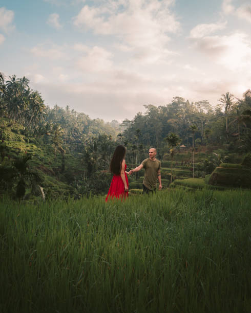 This is what true love looks like Young beautiful couple walking on Campuhan Ridgeway of artists, in Bali, Ubud. Beautiful calm sunny morning. Outdoor shot of a young couple in love walking on the pathway through the grass field. Man and woman in a red dress walking along a tall grass field. malay couple full body stock pictures, royalty-free photos & images