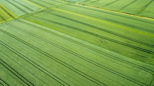 istock Aerial view of agricultural area and fields 1156892745