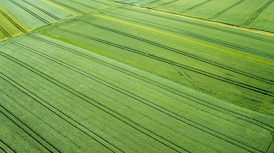 Aerial view of agricultural area and fields