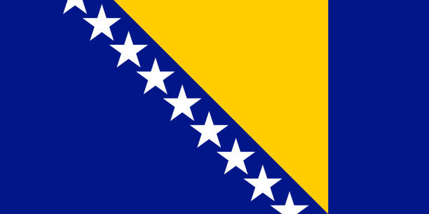 ilustrações, clipart, desenhos animados e ícones de bandeira do vetor de bósnia e de herzegovina. proporção 1:2. bandeira nacional da bósnia herzegovina. - bosnia herzegovinan