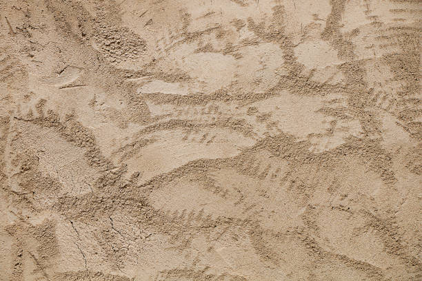 istock Background. Wall of old gray plaster 1156901634