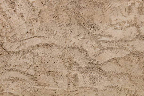 istock Background. Wall of old gray plaster 1156901640