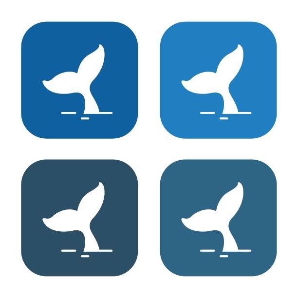 Whale Tails icon App, Vector, Water, Animal Fin, Blue blue whale tail stock illustrations