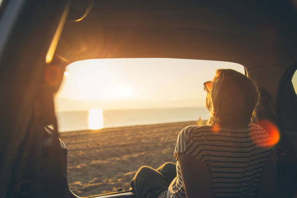 istock Watching the sunset on the beach 1156903311