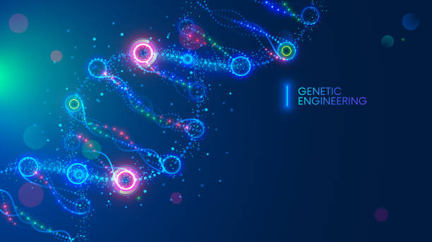 ilustrações, clipart, desenhos animados e ícones de ilustração do vetor da molécula do adn ou fundo da ciência. gene de engenharia genética e edição. bandeira conceptual da tecnologia médica de sci. estrutura microscópica. modelo de biotecnologia ou química. - dna backgrounds healthcare and medicine magnification