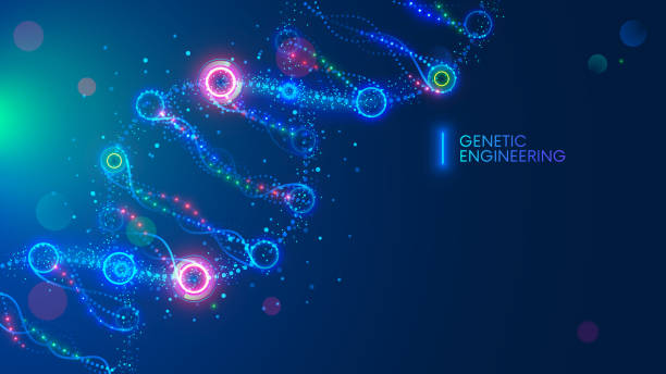 DNA molecule vector illustration or science background. Genetic engineering and editing gene. Sci medical technology conceptual banner. Microscopic structure. Biotechnology or chemistry template. DNA molecule vector illustration or science background. Genetic engineering and editing gene. Sci medical technology conceptual banner. Microscopic structure. Biotechnology or chemistry template. gene editing stock illustrations