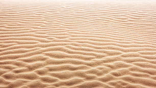 Traces de vent sur les lignes de sable fin Contexte / Espace copie - Photo