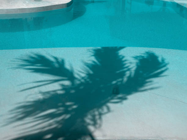 istock Shadow of palm leaves 1156908033