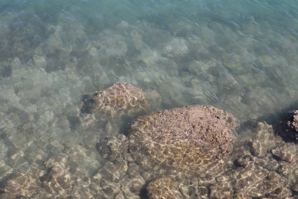 istock 6/2/2019 Beautiful Seaview at Ala Moana Beach Park in Hawaii 1156908055