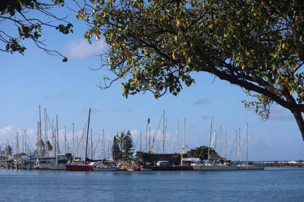 istock 6/2/2019 Beautiful Seaview at Ala Moana Beach Park in Hawaii 1156908095