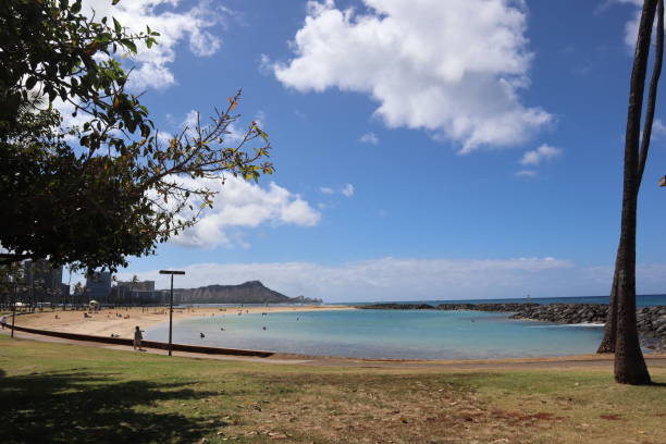 istock 6/2/2019 Beautiful Seaview at Ala Moana Beach Park in Hawaii 1156908160
