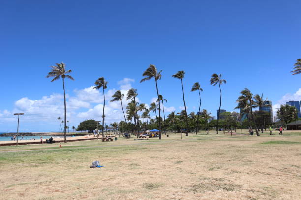 istock 6/2/2019 Beautiful Seaview at Ala Moana Beach Park in Hawaii 1156908239