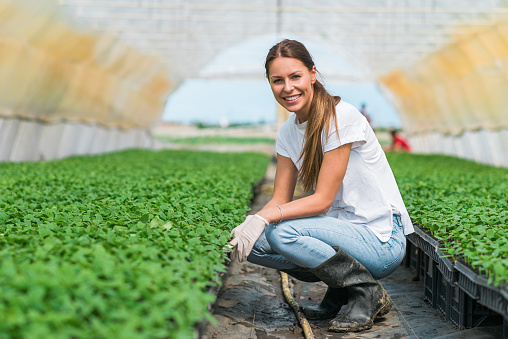 Portrait of a smiling female greenhouse nursery worker.