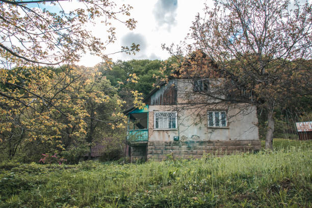 istock Sun rays over the forest and grass, old torn house 1156909597