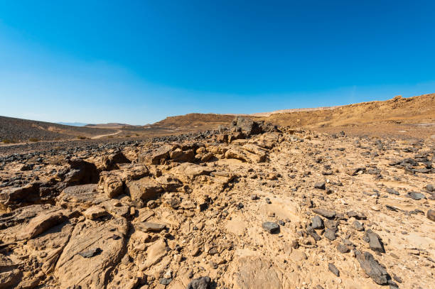 istock Negev Desert in Israel 1156910852