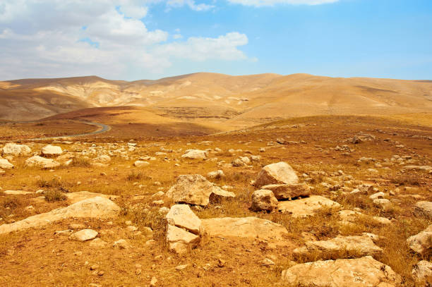 istock Negev Desert in Israel 1156910886