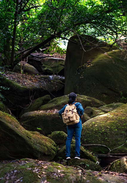 istock backpacker travel in rainforest 1156915282