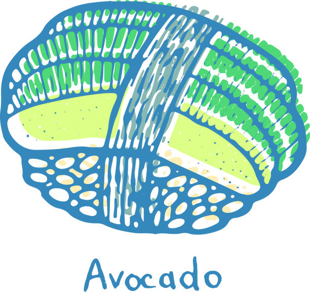sushi avocado - ilustracja kolor szkicu. nigiri z awokado i ryżem. japońskie owoce morza. ilustracja wektorowa - skratch stock illustrations