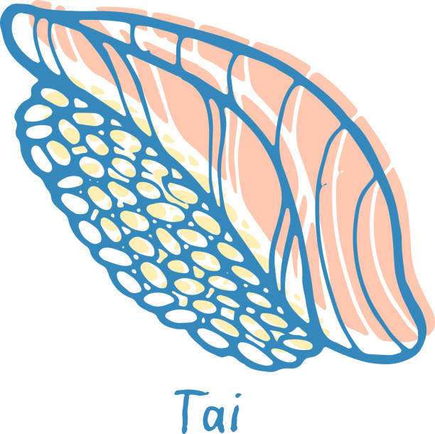 sushi tai - ilustracja kolor szkicu. nigiri z leszczem ryb i ryżu. japońskie owoce morza. ilustracja wektorowa - skratch stock illustrations