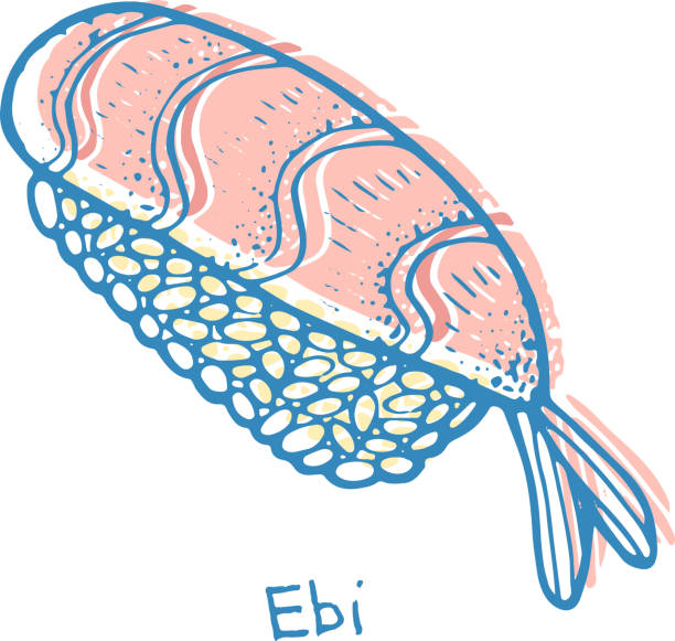 ilustrações de stock, clip art, desenhos animados e ícones de sushi ebi - sketch color illustration. nigiri with the shrimp and rice. japanese seafood. vector illustration - skratch