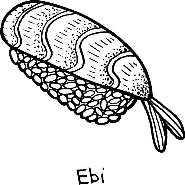 sushi ebi - ilustracja szkicu. nigiri z krewetkami i ryżem. japońskie owoce morza. ilustracja wektorowa - skratch stock illustrations