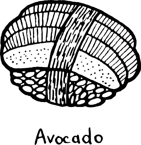 ilustrações de stock, clip art, desenhos animados e ícones de sushi avocado - sketch illustration. nigiri with the avocado and rice. japanese seafood. vector illustration - skratch