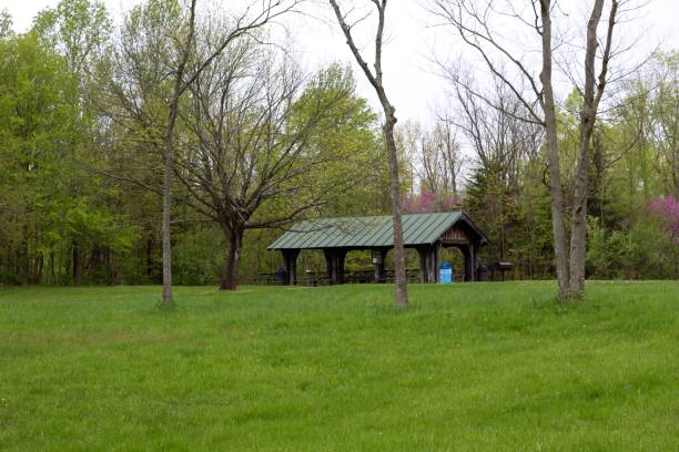 istock Wooden Shelter 1156922843