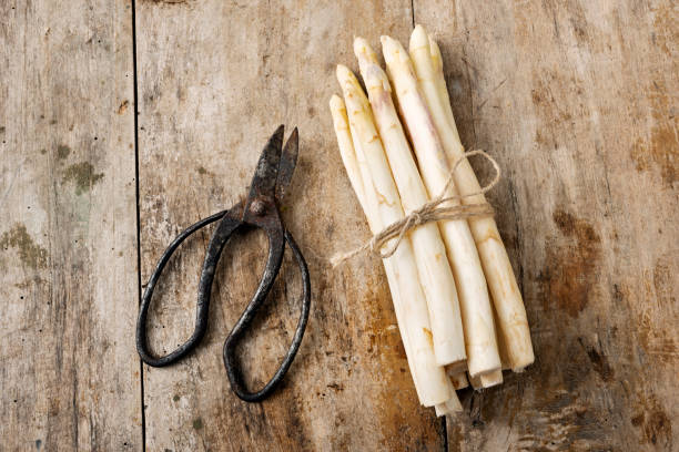 istock Bundle of fresh white asparagus. 1156923354