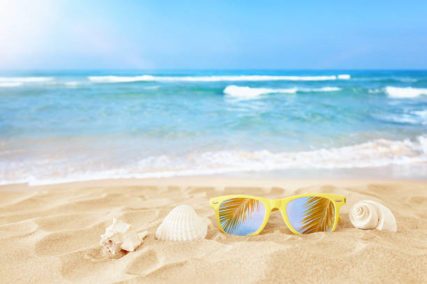 istock Empty sand beach, seashells and sunglasses in front of summer sea background with copy space 1156923389