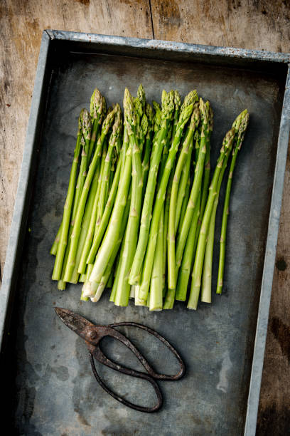 istock Tray of green asparagus. 1156925144