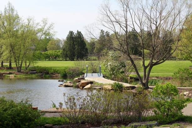 istock Pond on Parks Landscape 1156926551