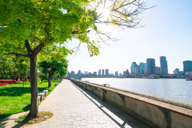istock Shanghai skyline in daytime 1156926951