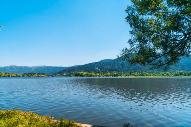 istock Lake View in Natural Forest 1156927888