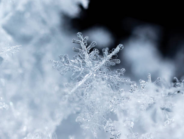 istock natural snowflakes on snow, winter 1156927985
