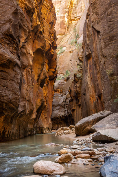 istock The Virgin River  weaves its way through the spectacular and stu 1156932142