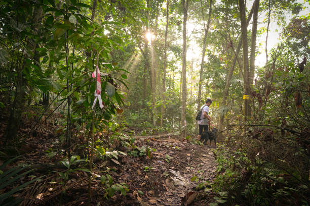 istock Man trekking with dog 1156932190