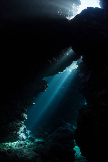 istock Beams of Light in Submerged Cavern 1156934191