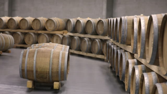 Modern wine cellar full of wooden casks