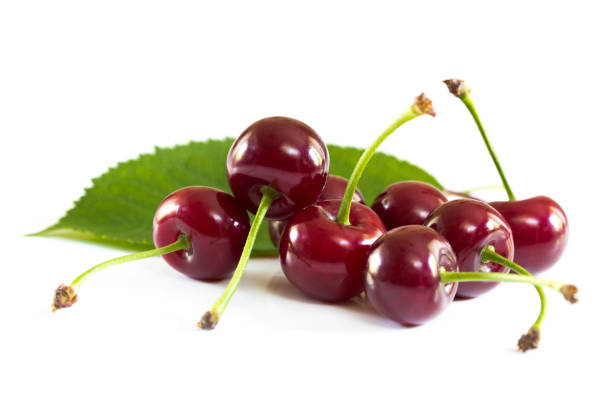 un gruppo di ciliegie acide mature con foglie - sour cherry foto e immagini stock
