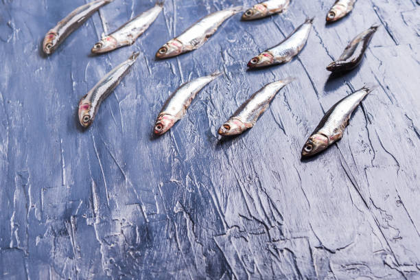 istock Fish pattern. Fresh anchovies on blue 1156940646