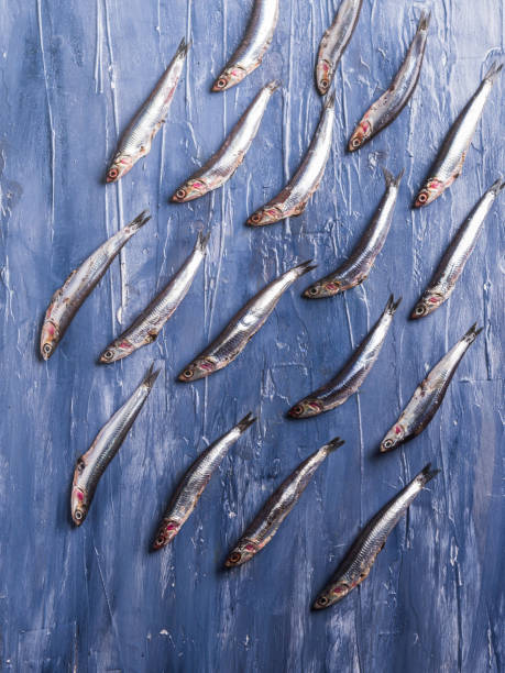 Fish pattern. Fresh anchovies on blue