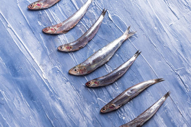 istock Fish pattern. Fresh anchovies on blue 1156940662